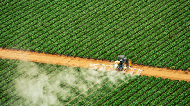 Best Best Pest Control Companies  in West Livingston, TX
