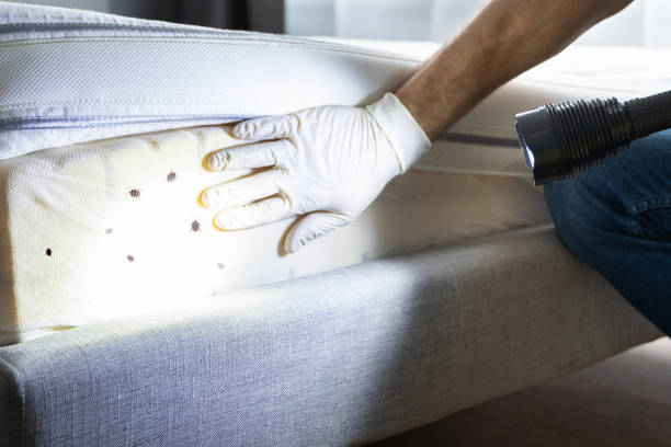 Best Wildlife Control Services  in West Livingston, TX