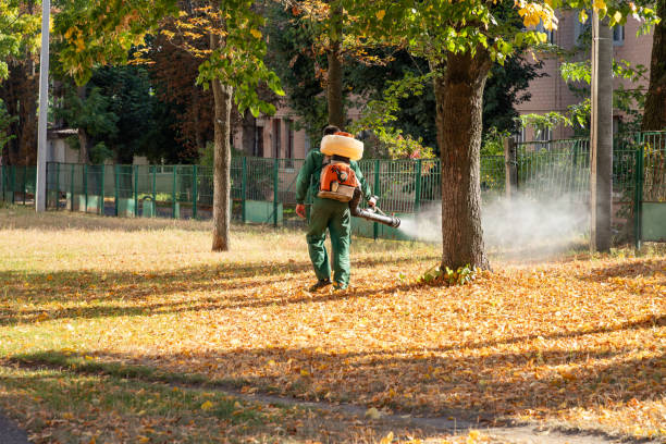 Pest Control Cost in West Livingston, TX
