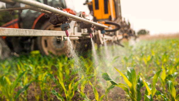 Reliable West Livingston, TX Pest Control Solutions